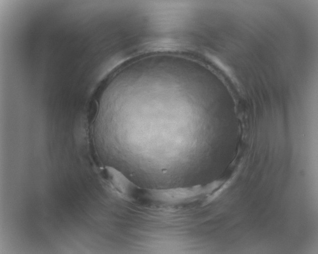 X0000070241453200606161833