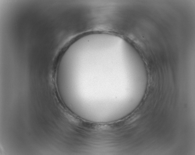 X0000070241454200606161833