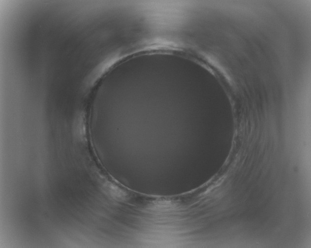 X0000070241455200606161833