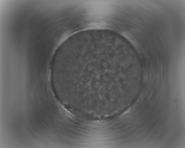 X0000070241459200606161833