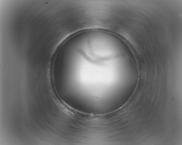 X0000070241460200606161833