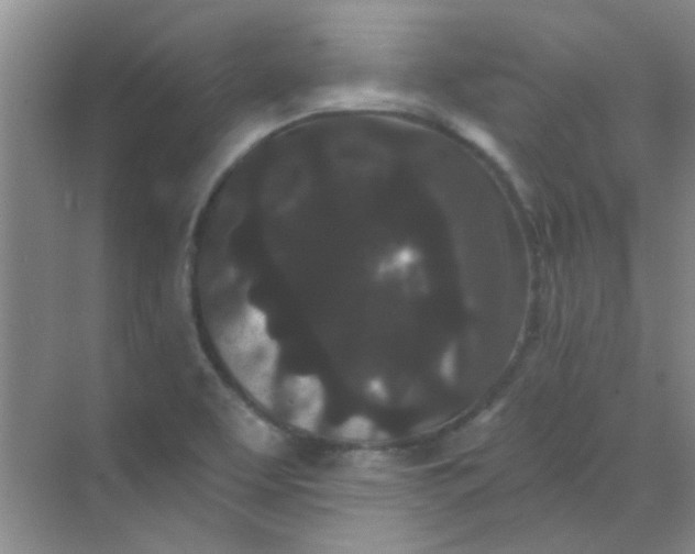 X0000070241463200606161833