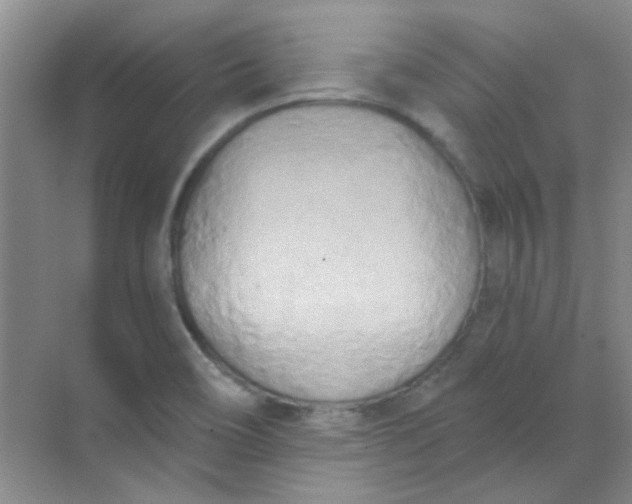 X0000070241466200606161833