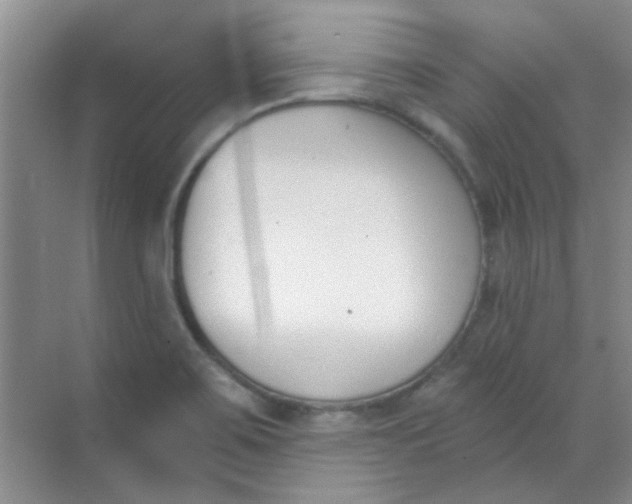 X0000070241467200606161833