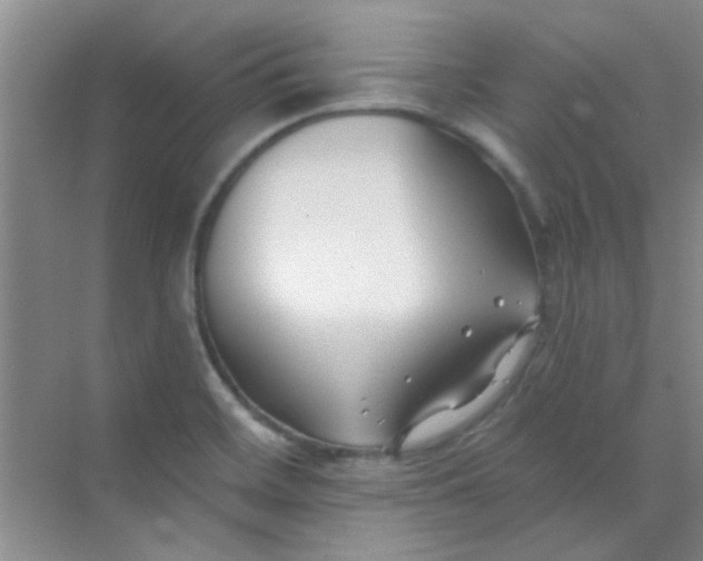 X0000070241468200606161833