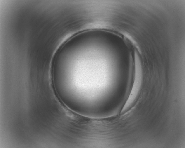 X0000070241469200606161833