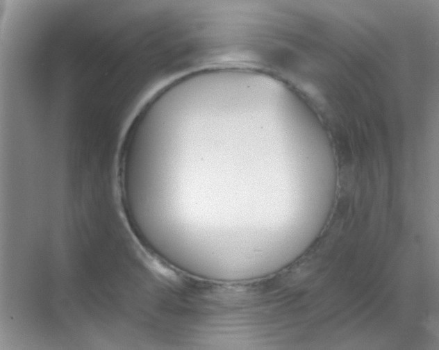 X0000070241470200606161833