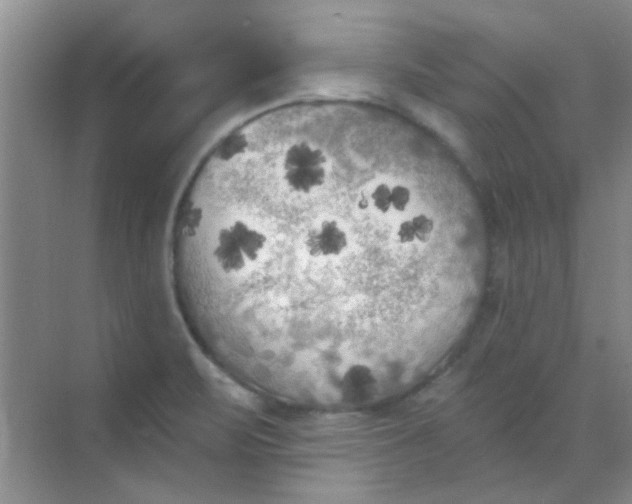 X0000070241471200606161833