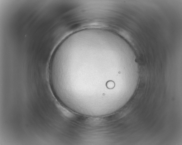 X0000070241474200606161833