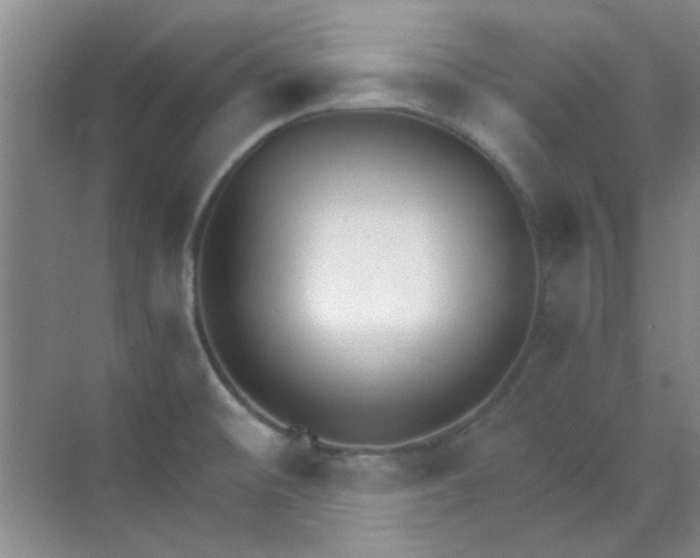 X0000070241476200606161833