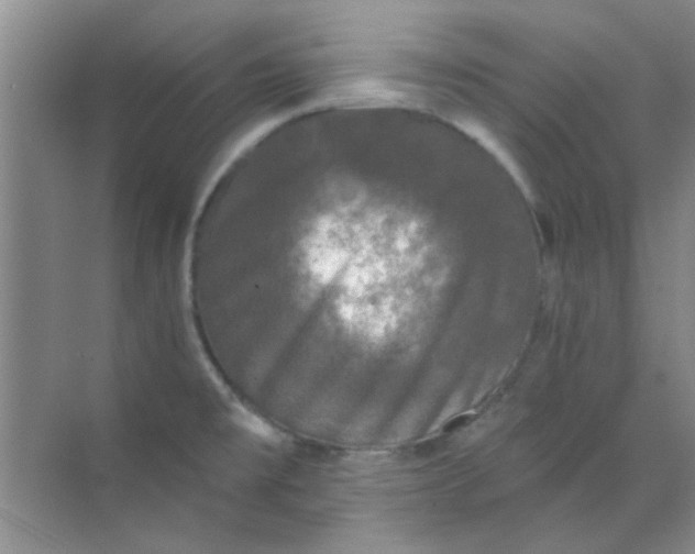 X0000070241477200606161833