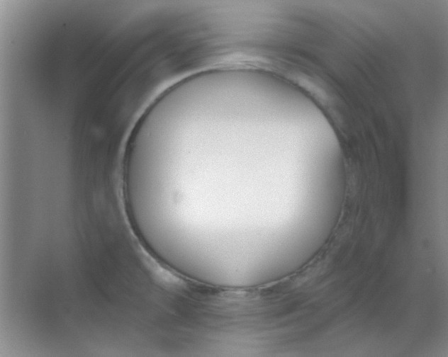 X0000070241478200606161833