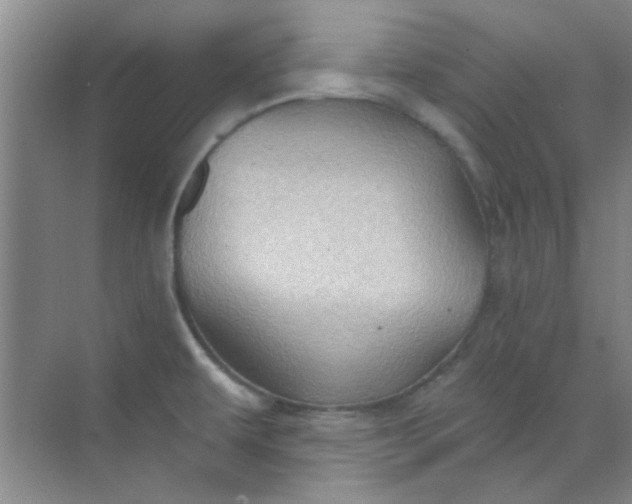 X0000070241479200606161833