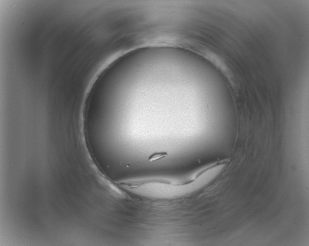 X0000070241480200606161833