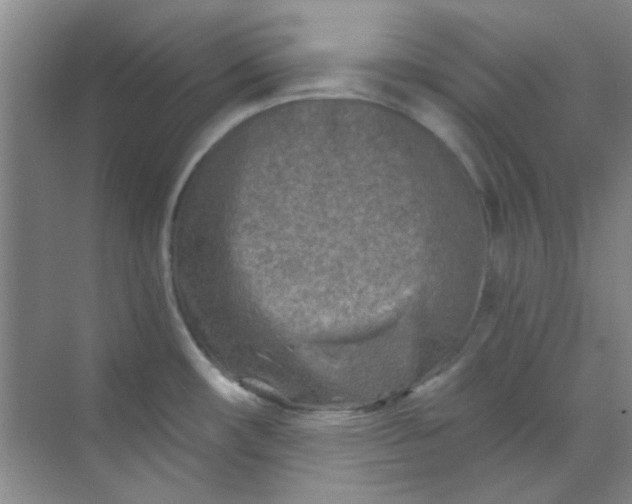 X0000070241482200606161833