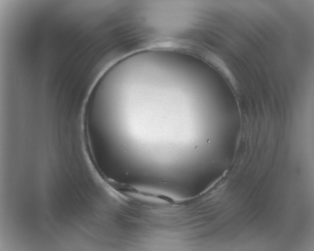 X0000070241483200606161833