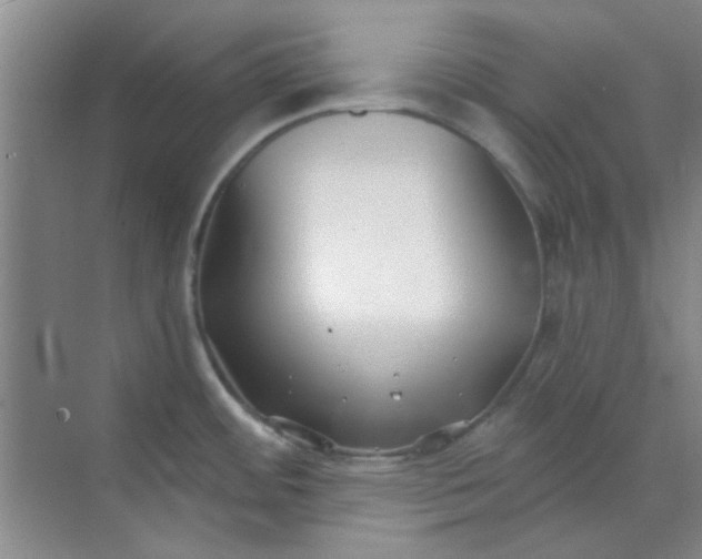 X0000070241484200606161833