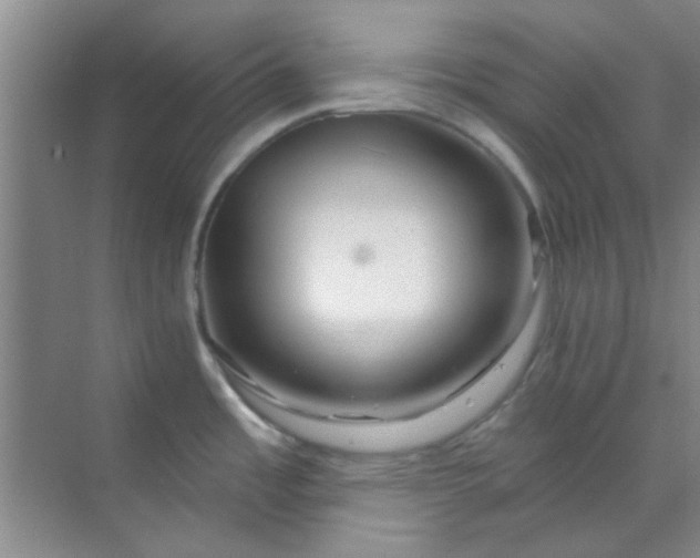 X0000070241485200606161833