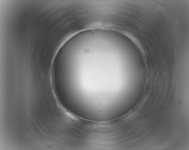 X0000070241486200606161833