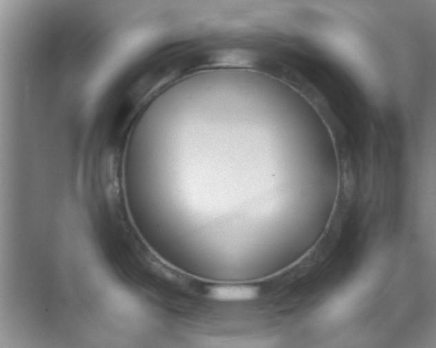 X0000070241487200606161833