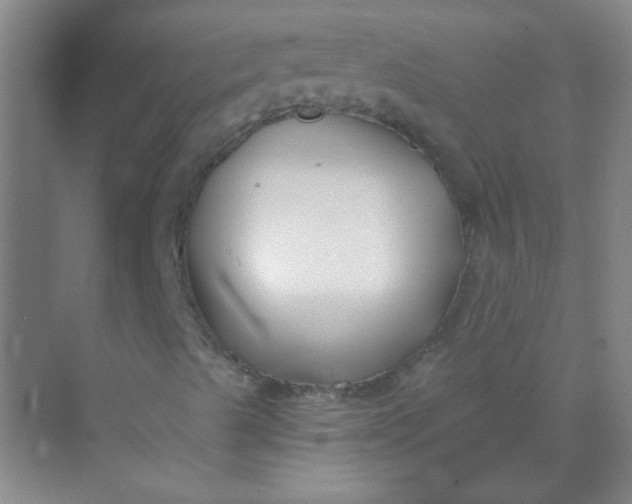 X0000070241489200606161832