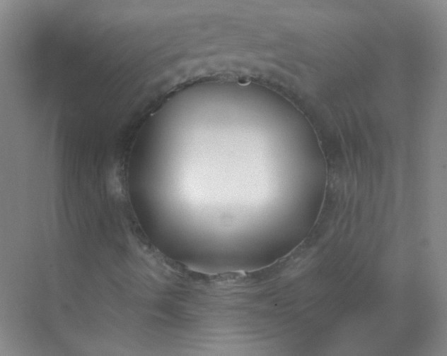 X0000070241490200606161832