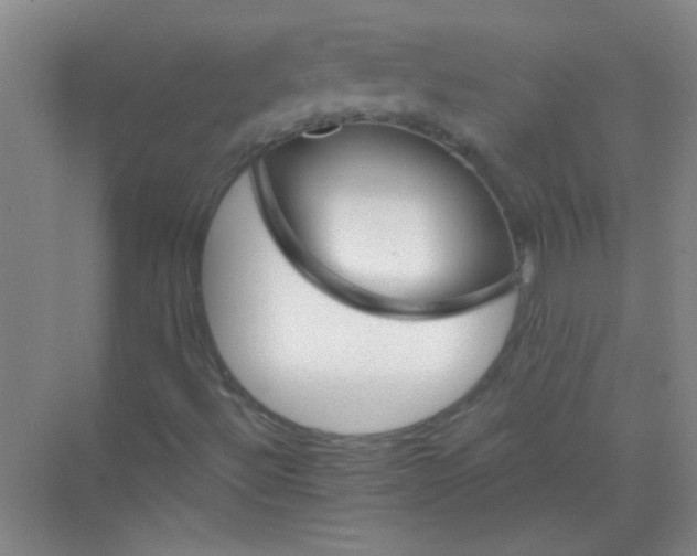 X0000070241492200606161832