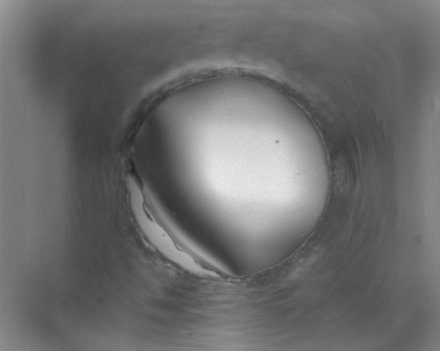 X0000070241494200606161832