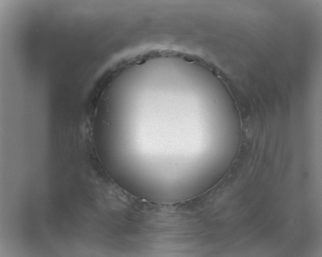 X0000070241495200606161832