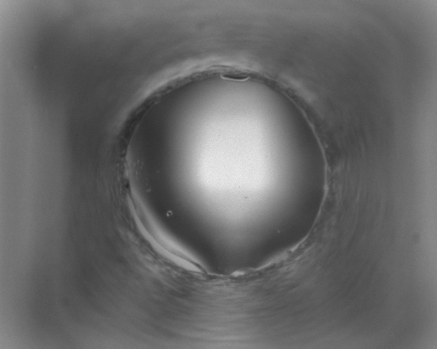 X0000070241496200606161832