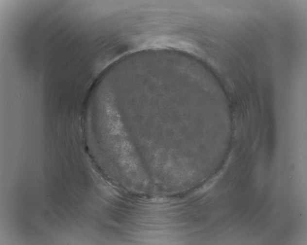 X0000070241497200606161832