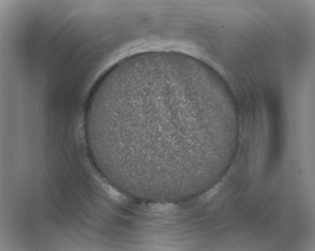 X0000070241498200606161832