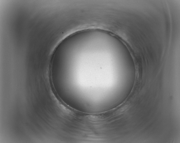 X0000070241500200606161832