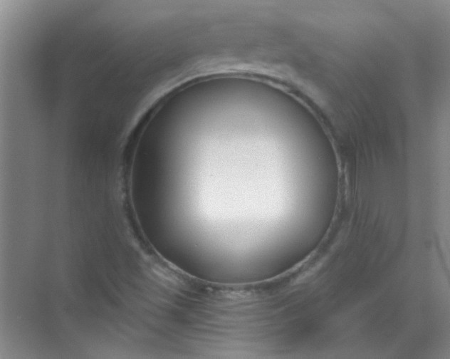 X0000070241501200606161832