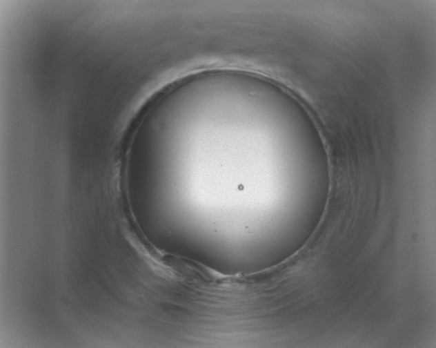 X0000070241503200606161832