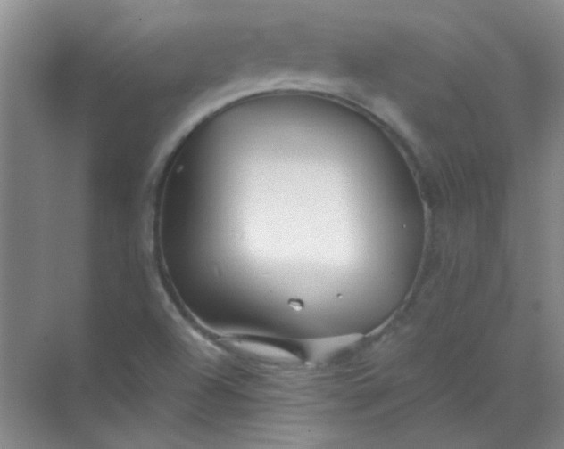 X0000070241504200606161832