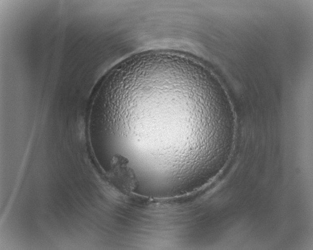 X0000070241505200606161832