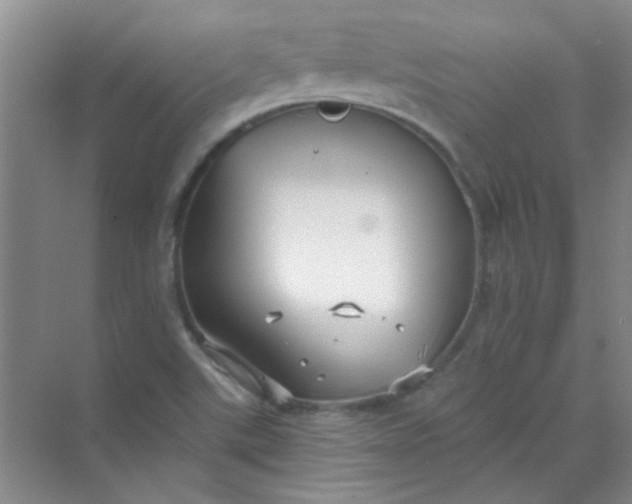 X0000070241507200606161832