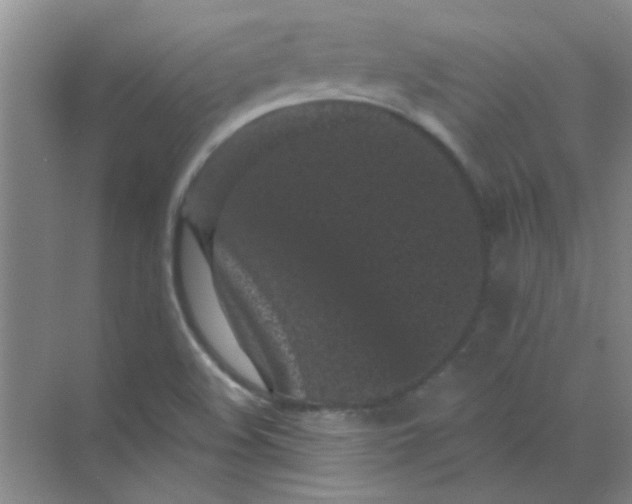 X0000070241508200606161832