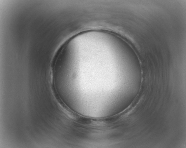 X0000070241509200606161832