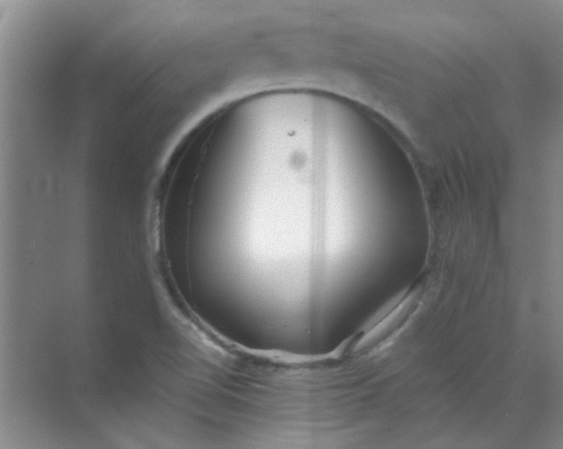 X0000070241510200606161832