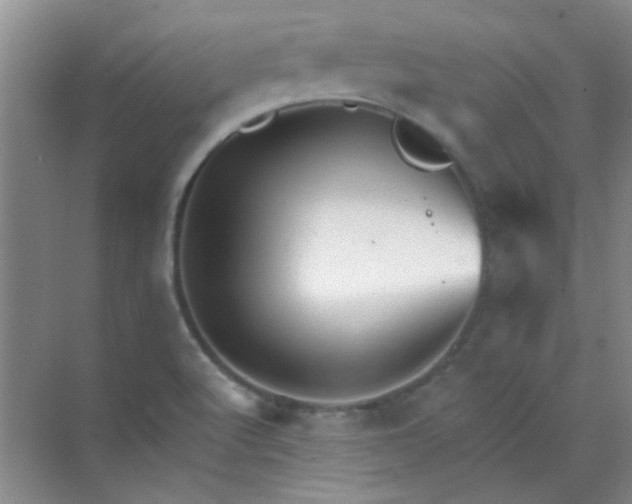 X0000070241512200606161832