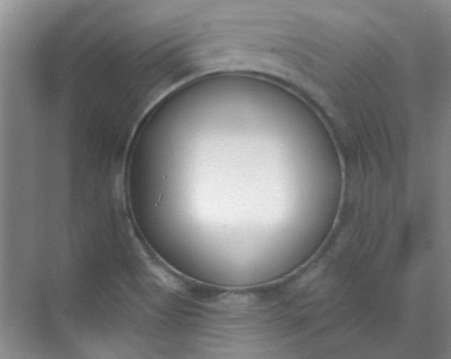 X0000070241513200606161832