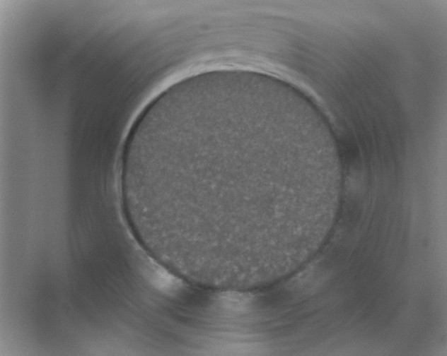 X0000070241514200606161832