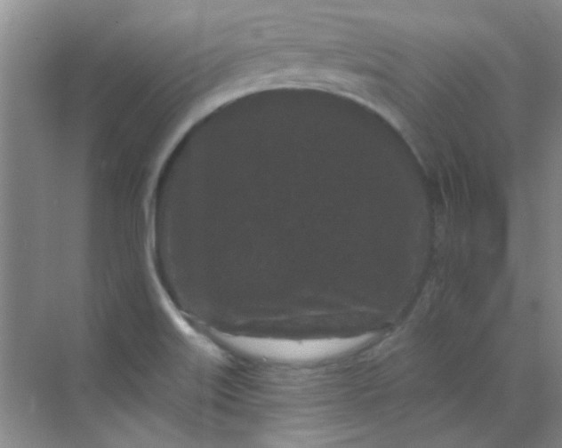 X0000070241515200606161832