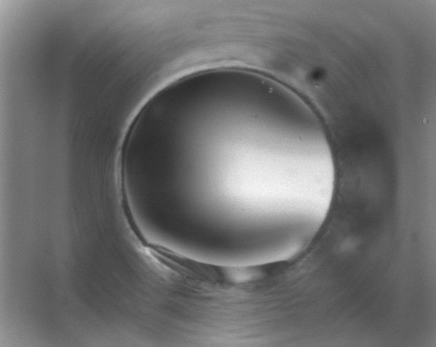 X0000070241516200606161832