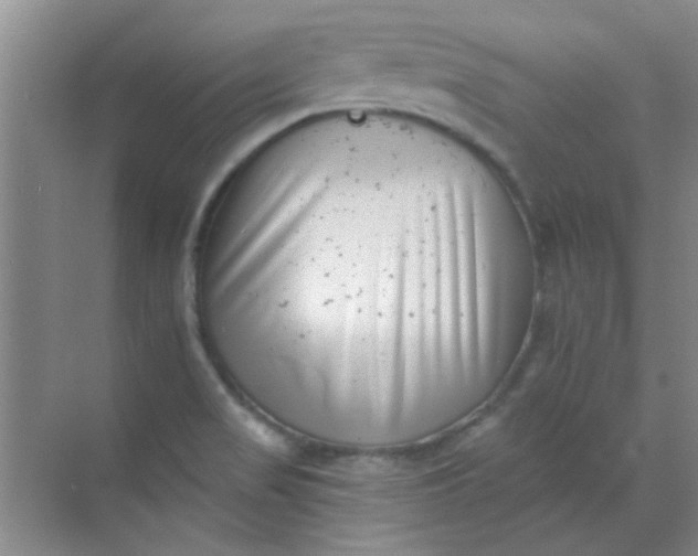 X0000070241517200606161832