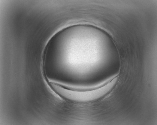 X0000070241518200606161832