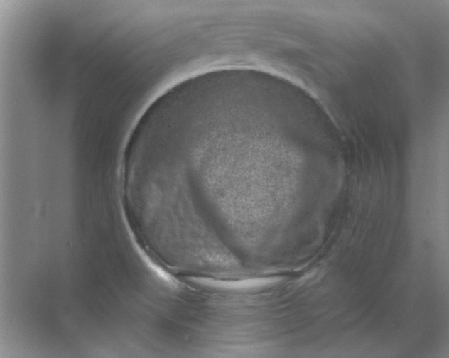 X0000070241519200606161832