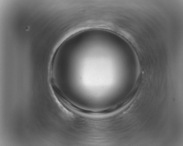 X0000070241520200606161832